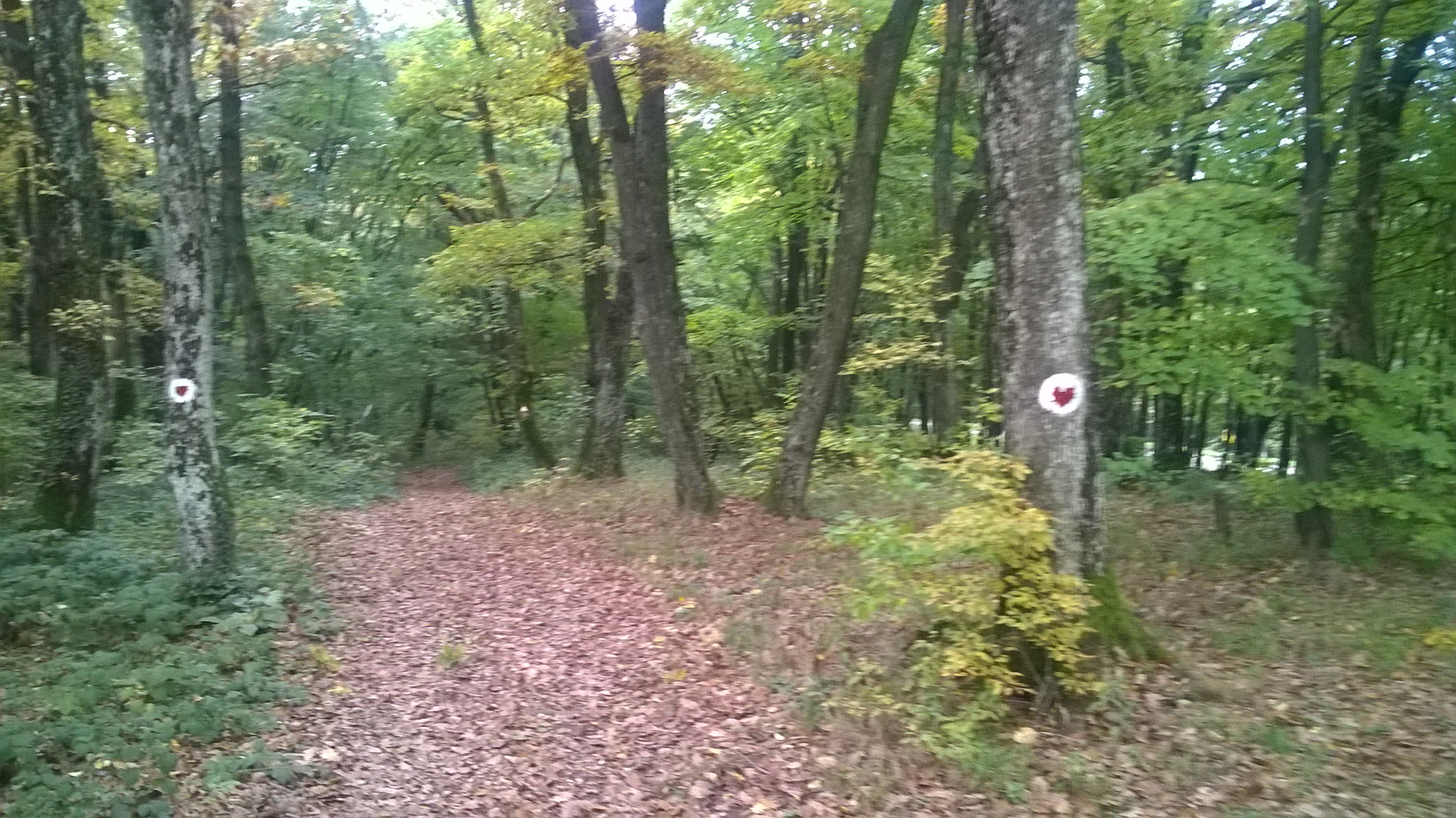 fruska-gora