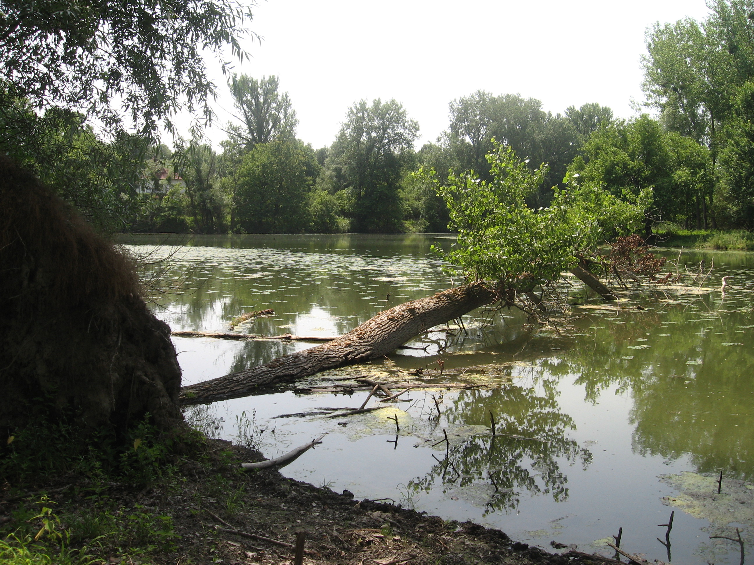 sombor-treking-035