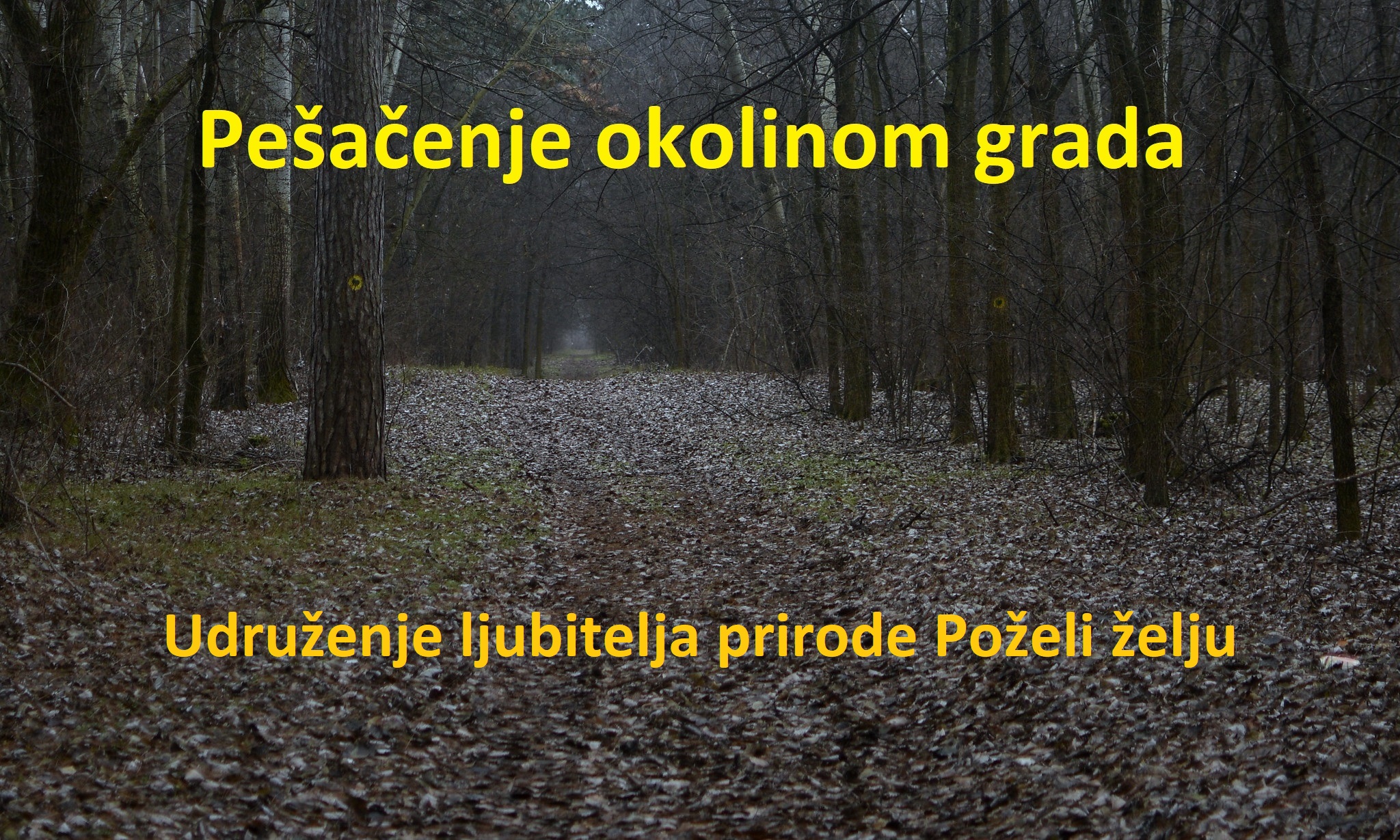 pesacenje-okolinom-grada