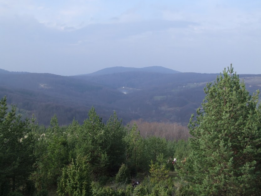 DSCF4198